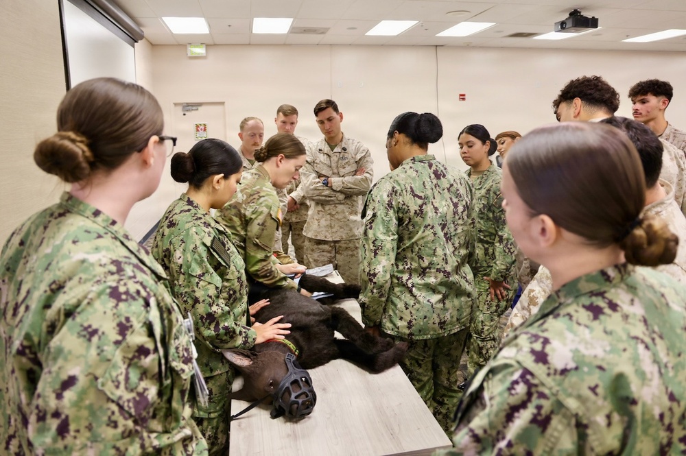 Treating Four-Legged Warfighters: Navy Corpsmen Train in Canine Tactical Combat Casualty Care