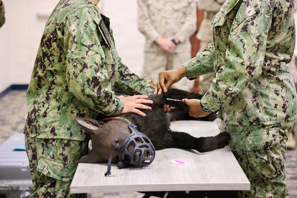 Treating Four-Legged Warfighters: Navy Corpsmen Train in Canine Tactical Combat Casualty Care