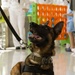 Service Members Visit Children at Manning Family Children’s Hospital