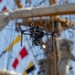 U.S. Marines Demonstrate Static Displays in New Orleans