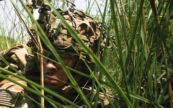 Salaknib 2026: 2-27 IR Train Platoon Level Capabilities