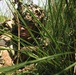 Salaknib 2026: 2-27 IR Train Platoon Level Capabilities
