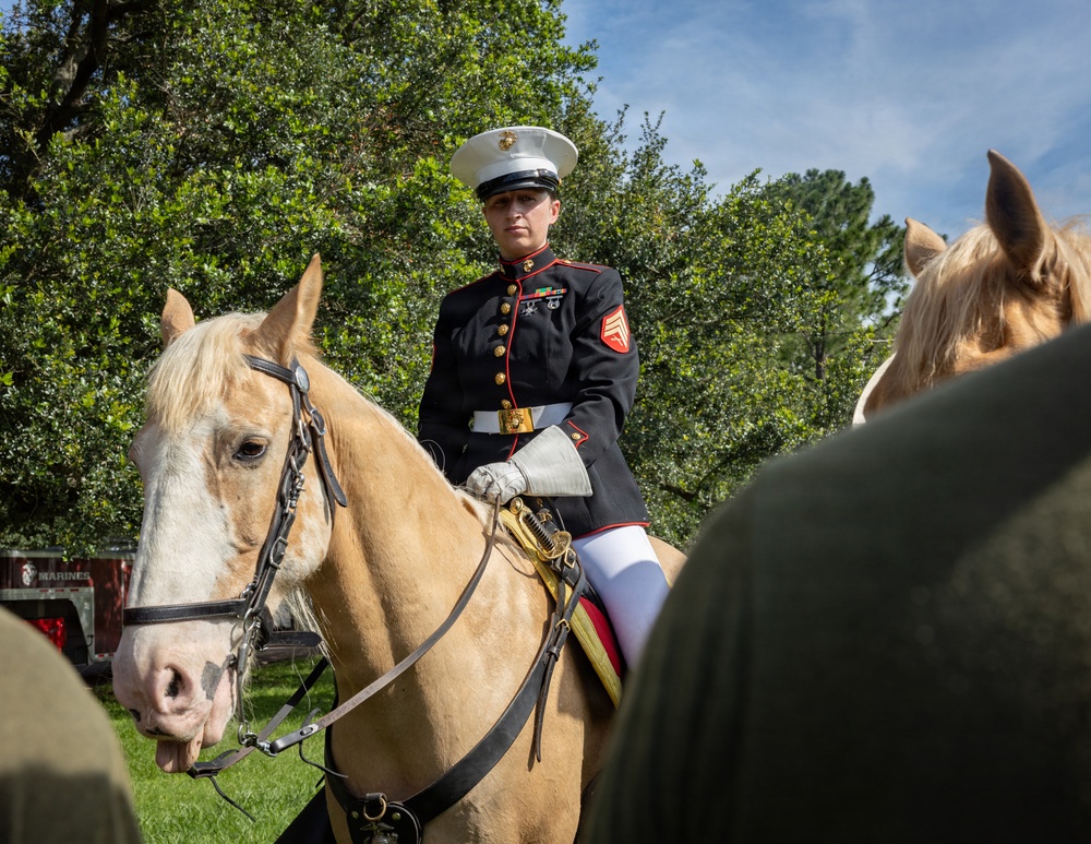 U.S. Marine Corps Poolee Function at Audubon Park New Orleans