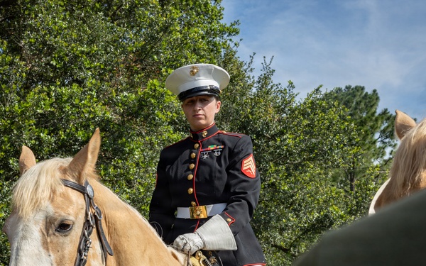 U.S. Marine Corps Poolee Function at Audubon Park New Orleans