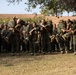 India Company Combat Casualty Care Class