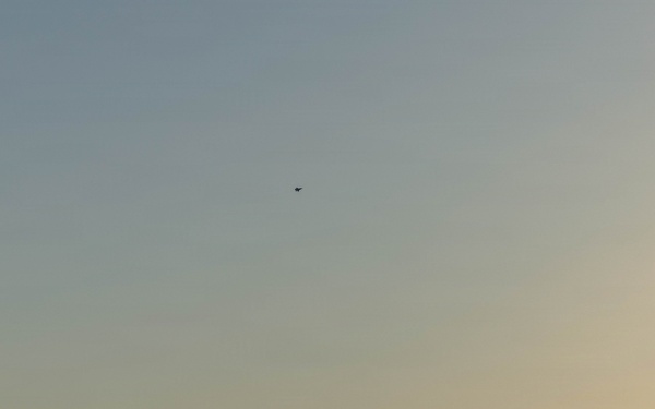 VMFA-211 Conducts a Simulated Expeditionary Airstrike