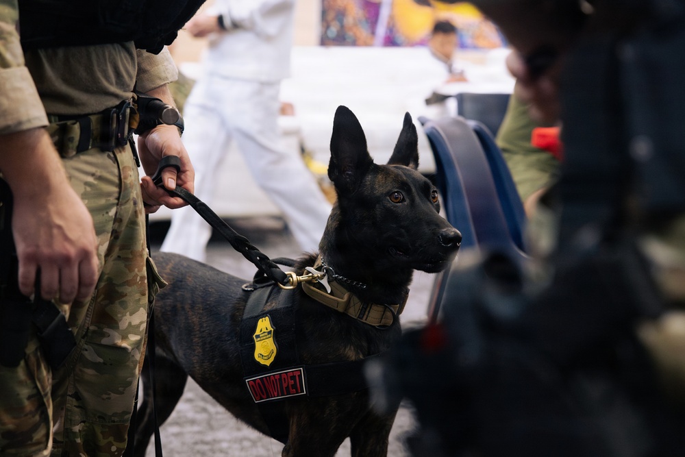 USO Hosts Dog and Paws Event at Julia Street Cruise Terminal during Sail 250