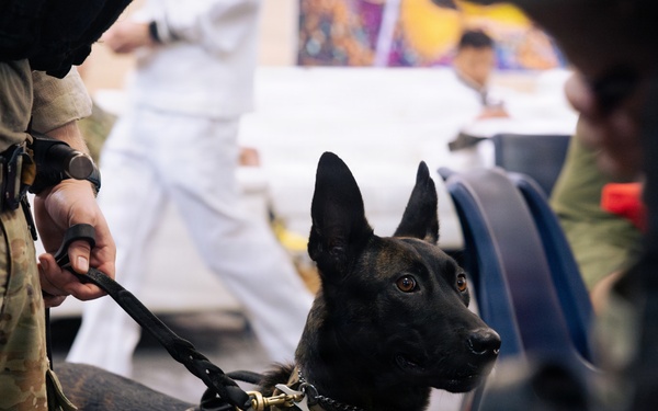 USO Hosts Dog and Paws Event at Julia Street Cruise Terminal during Sail 250