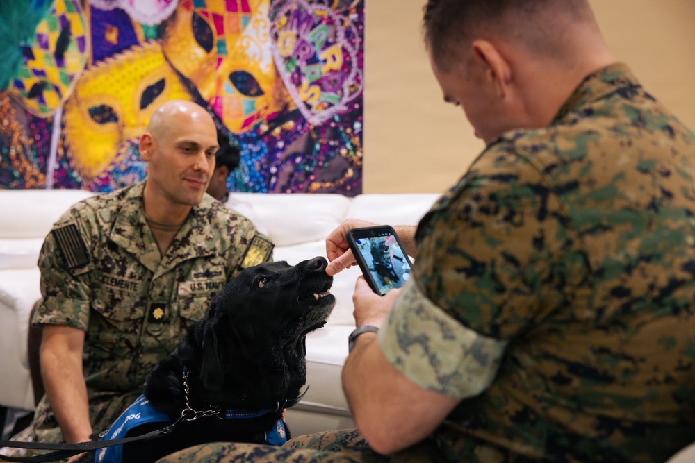 USO Hosts Dog and Paws Event at Julia Street Cruise Terminal during Sail 250