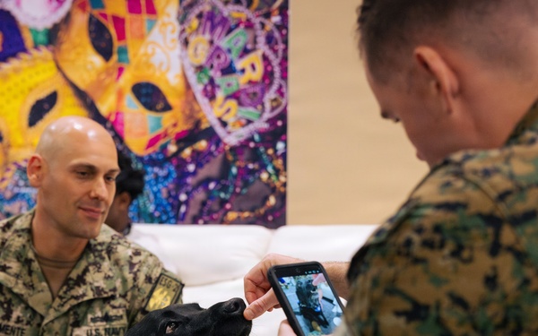 USO Hosts Dog and Paws Event at Julia Street Cruise Terminal during Sail 250