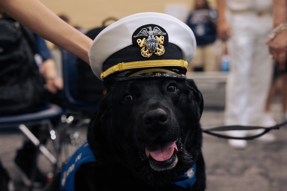 USO Hosts Dog and Paws Event at Julia Street Cruise Terminal during Sail 250