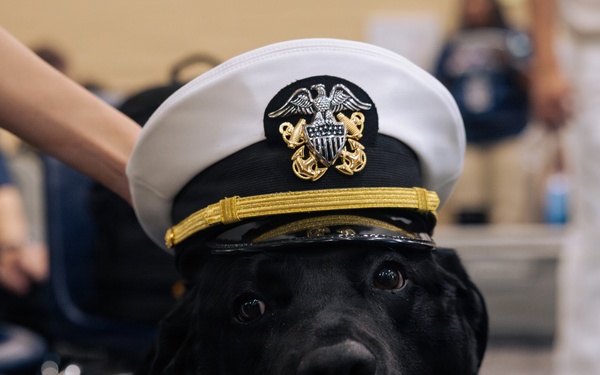 USO Hosts Dog and Paws Event at Julia Street Cruise Terminal during Sail 250