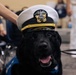 USO Hosts Dog and Paws Event at Julia Street Cruise Terminal during Sail 250