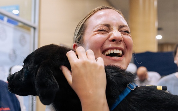 USO Hosts Dog and Paws Event at Julia Street Cruise Terminal during Sail 250