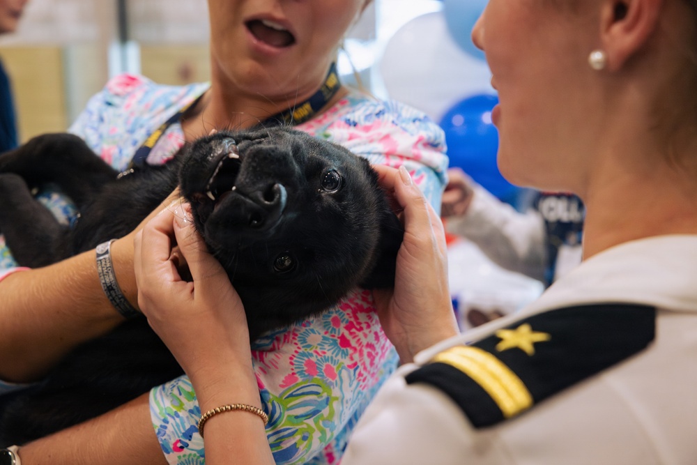 USO Hosts Dog and Paws Event at Julia Street Cruise Terminal during Sail 250