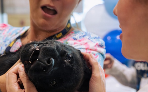 USO Hosts Dog and Paws Event at Julia Street Cruise Terminal during Sail 250