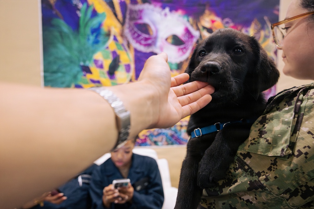 USO Hosts Dog and Paws Event at Julia Street Cruise Terminal during Sail 250