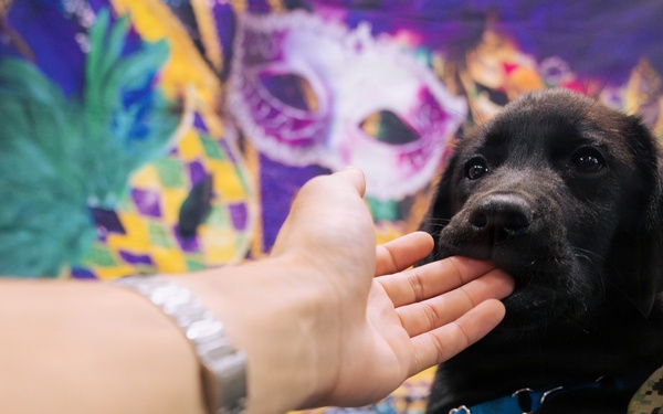 USO Hosts Dog and Paws Event at Julia Street Cruise Terminal during Sail 250