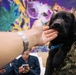 USO Hosts Dog and Paws Event at Julia Street Cruise Terminal during Sail 250