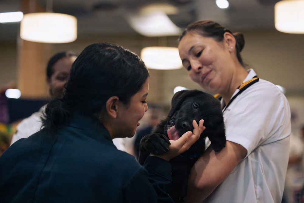 USO Hosts Dog and Paws Event at Julia Street Cruise Terminal during Sail 250