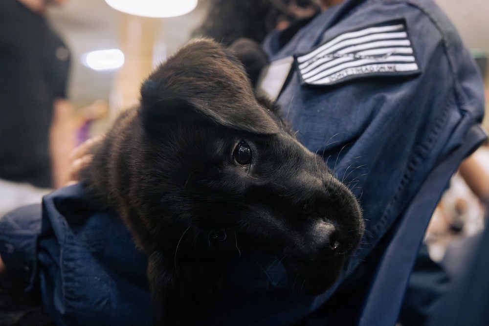 USO Hosts Dog and Paws Event at Julia Street Cruise Terminal during Sail 250