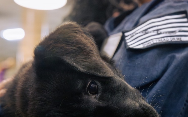 USO Hosts Dog and Paws Event at Julia Street Cruise Terminal during Sail 250