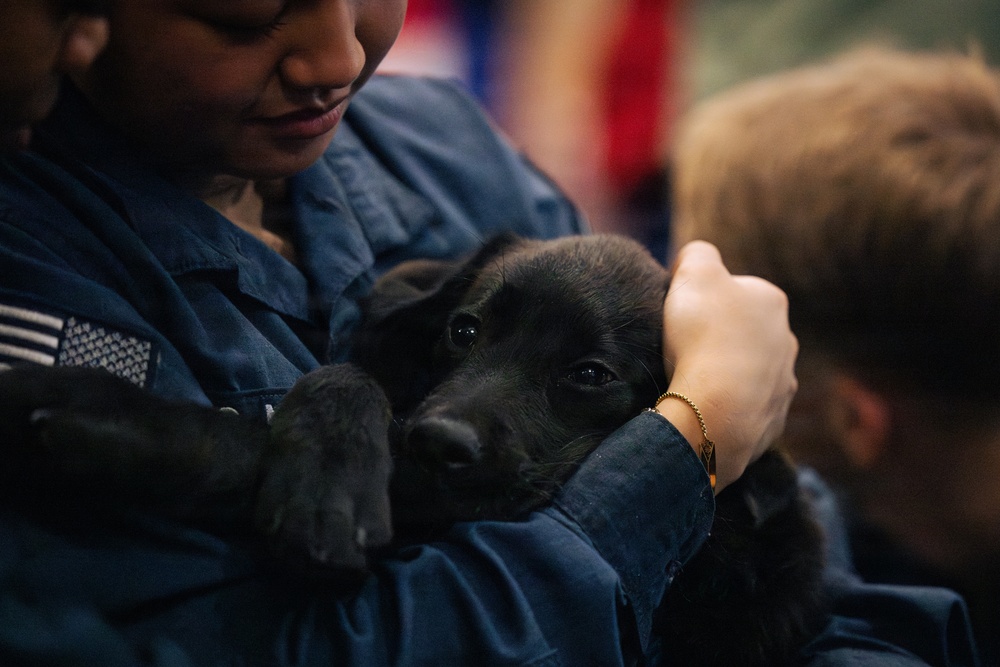 USO Hosts Dog and Paws Event at Julia Street Cruise Terminal during Sail 250