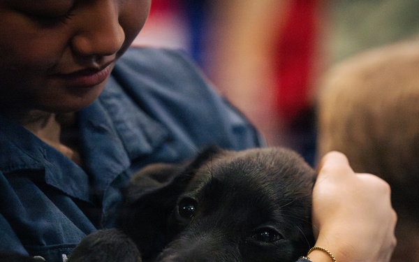 USO Hosts Dog and Paws Event at Julia Street Cruise Terminal during Sail 250