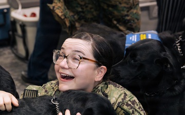 USO Hosts Dog and Paws Event at Julia Street Cruise Terminal during Sail 250