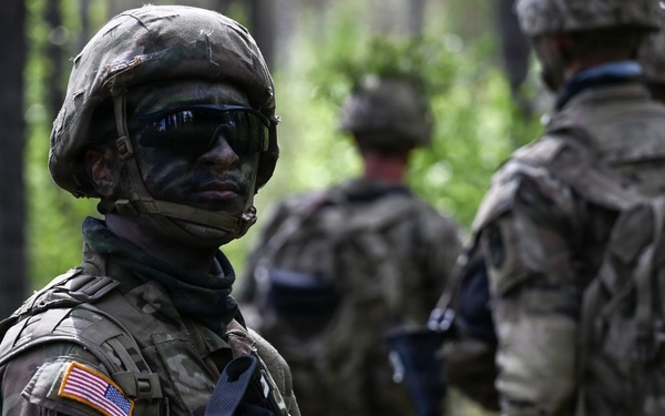 Virginia Guard engineers conduct counter-mobility training in Finland