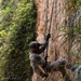 U.S. Marines with 12th LCT Refine their Rappel Techniques at Jungle Warfare Training Center