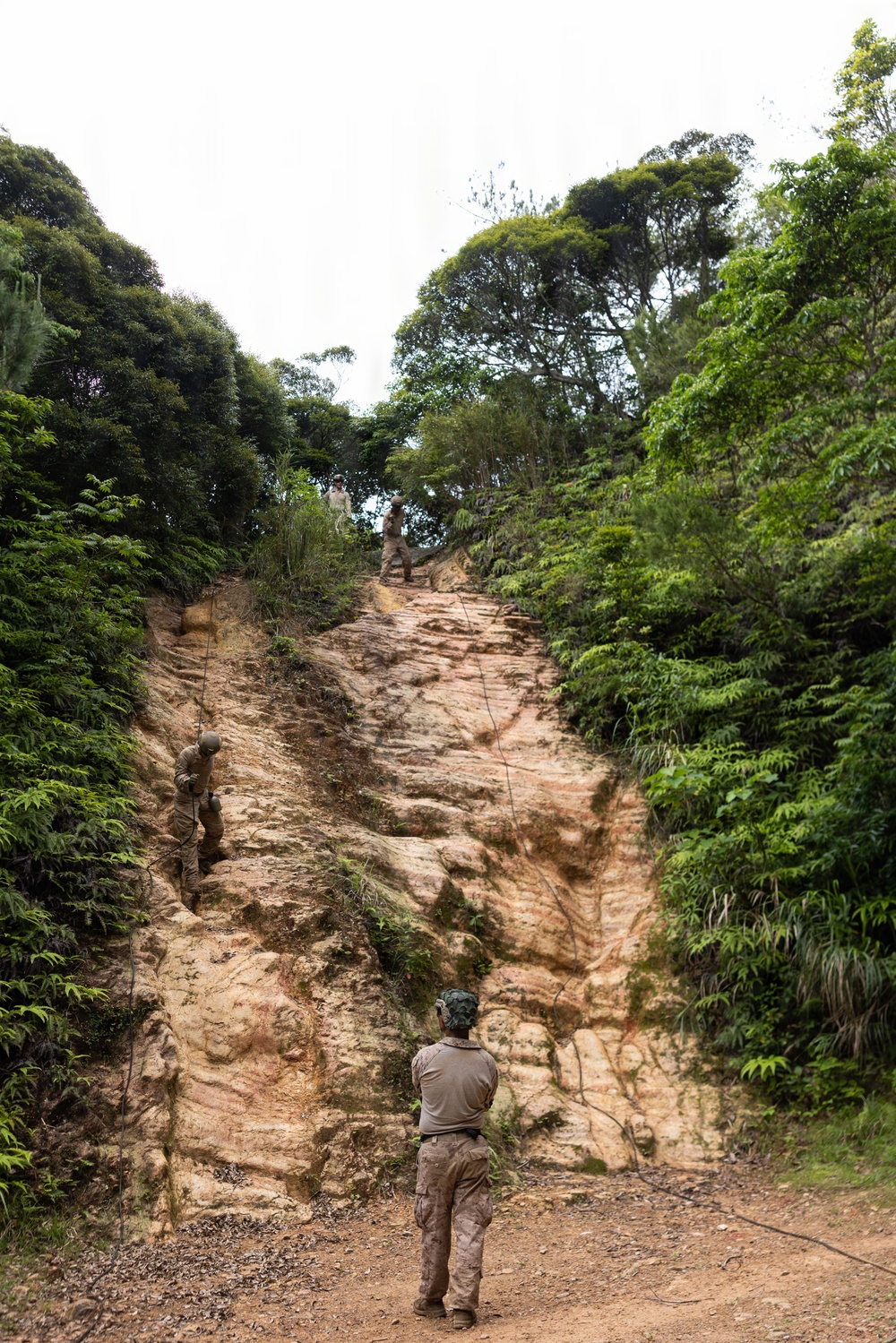U.S. Marines with 12th LCT Participate in Survival Training at Jungle Warfare Training Center