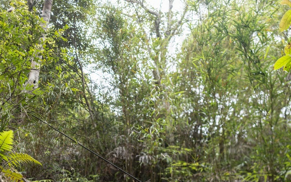 U.S. Marines with 12th LCT Participate in Survival Training at Jungle Warfare Training Center