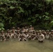 U.S. Marines with 12th LCT Participate in Survival Training at Jungle Warfare Training Center
