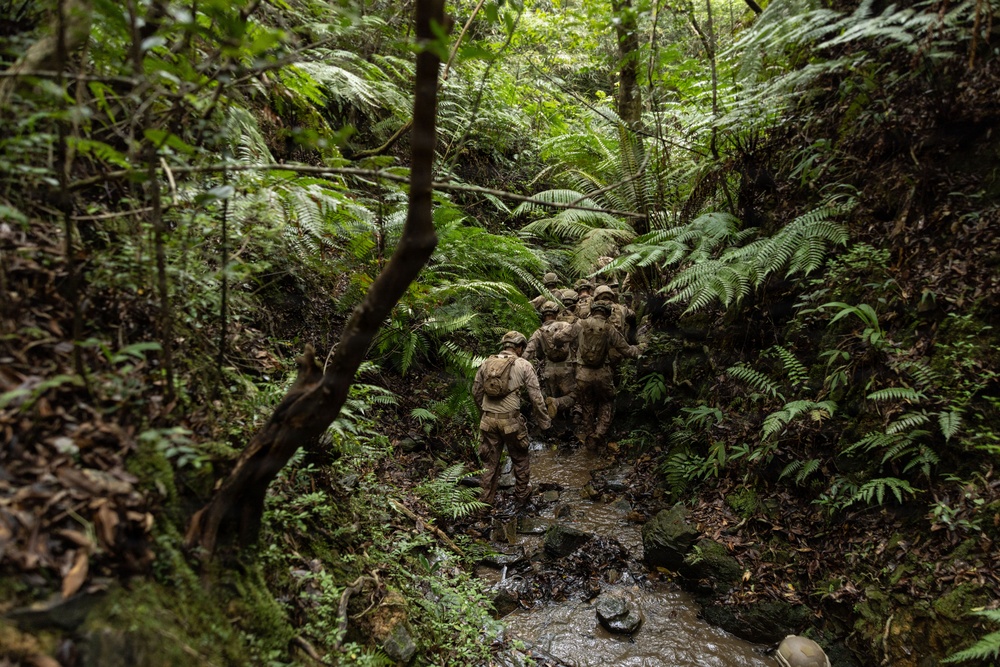 U.S. Marines with 12th LCT Participate in Survival Training at Jungle Warfare Training Center
