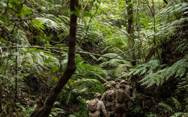 U.S. Marines with 12th LCT Participate in Survival Training at Jungle Warfare Training Center