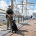 Coast Guard Secures New Orleans Riverfront for Sail 250