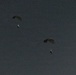 Maritime Raid Force Conducts a Military Free-Fall Insertion