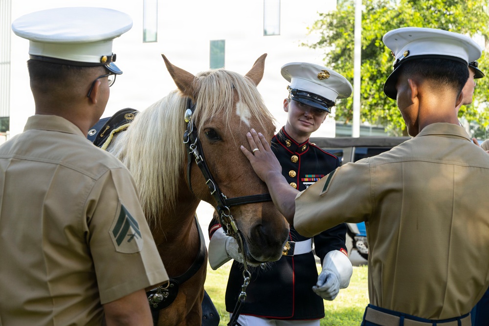 Mounted Color Guard participates in Sail 250 New Orleans