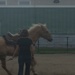 Mounted Color Guard participates in Sail 250 New Orleans