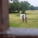 Top MEDCoE drill sergeants annual competition