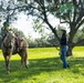 Mounted Color Guard participates in Sail 250 New Orleans