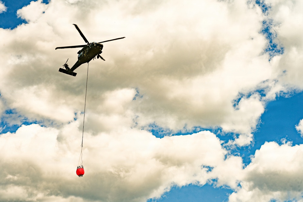 Idaho National Guard, Idaho Department of Lands train to prepare for fire season