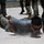 Cannon AFB hosts Medic Rodeo