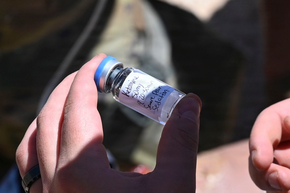 Cannon AFB hosts Medic Rodeo