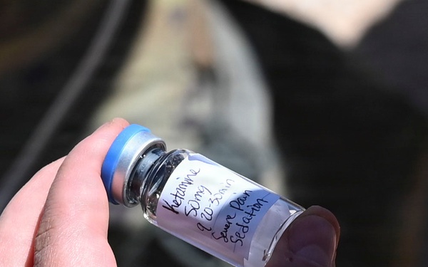 Cannon AFB hosts Medic Rodeo