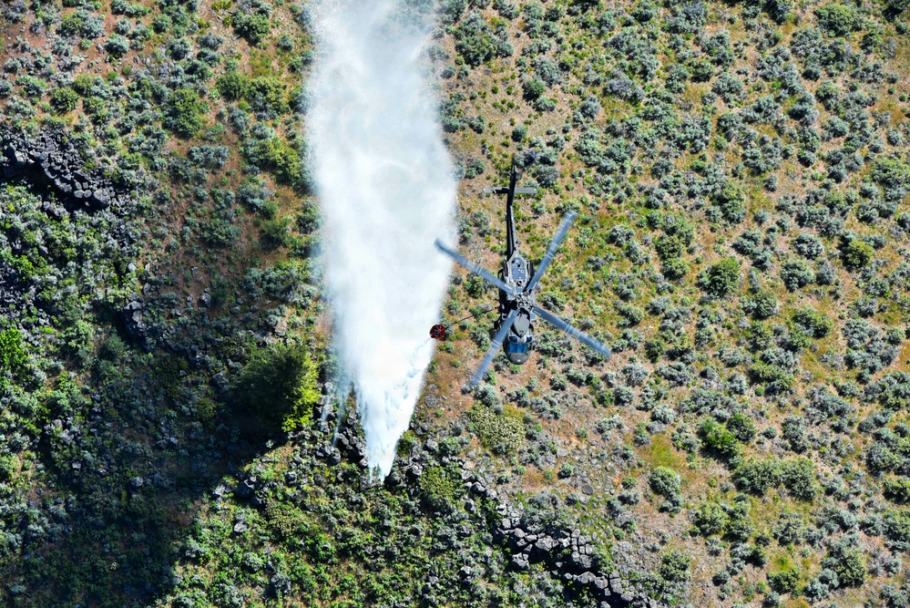 Idaho National Guard, Idaho Department of Lands train to prepare for fire season