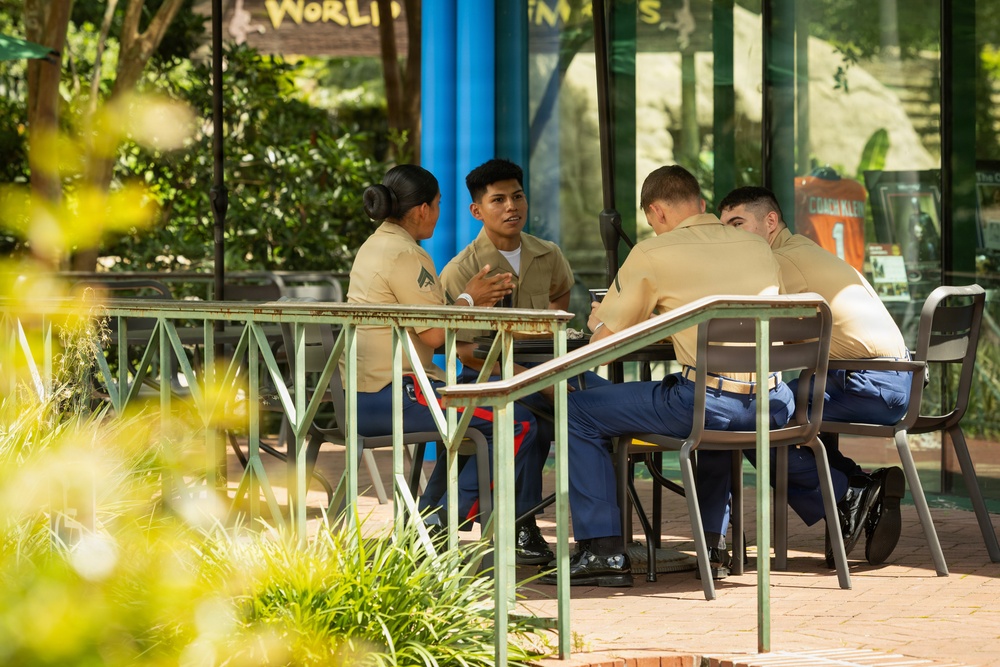 Service Members Participate in Military Friends and Family Day at Audubon Zoo during Sail 250 New Orleans