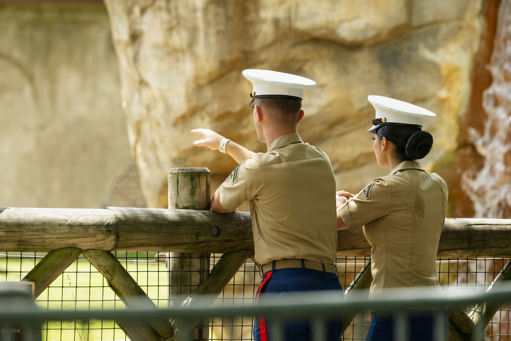 Service Members Participate in Military Friends and Family Day at Audubon Zoo during Sail 250 New Orleans