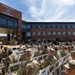 V Corps, HHBN Change of Command ceremony